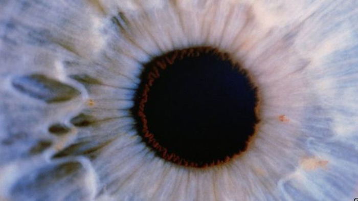 How can scientists `cure` blindness?