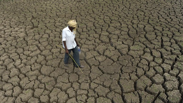 Inde: le pari risqué des autorités pour faire face à la sécheresse