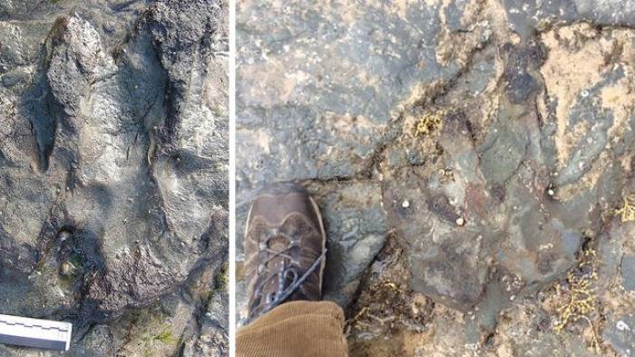 Une empreinte de dinosaure de 115 millions d’années détruite par des vandales