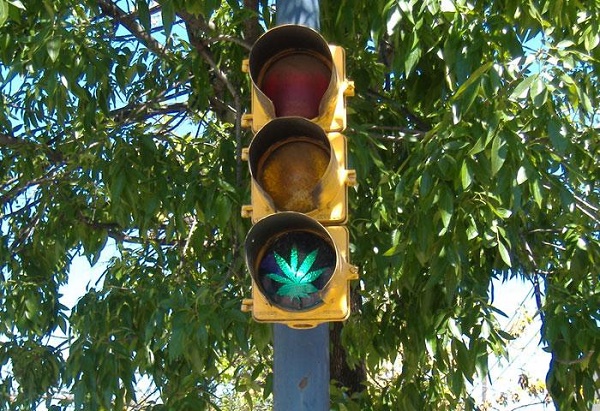 Feu vert à un vote sur la légalisation du cannabis en Californie