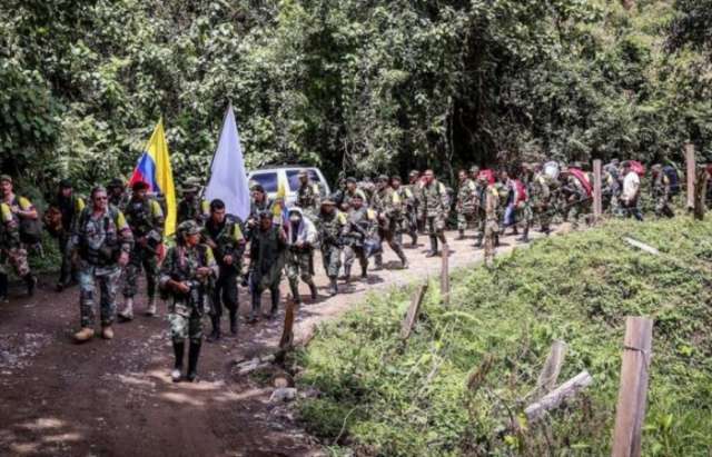 Colombia otorga primeras cuatro amnistías a guerrilleros de FARC