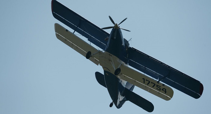 No survivors after An-2 crash in Siberia - Rescue Center