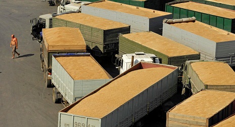 Russia Begins Grain Deliveries to Iran, Will Ship 1.3 Mln Tons in 2015