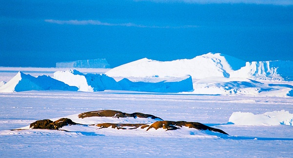 Des pyramides découvertes dans l’Antarctique?  