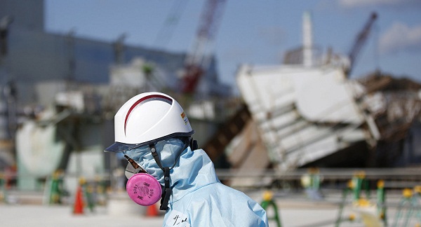 Les sangliers de Fukushima, ces victimes des radiations et de la chasse