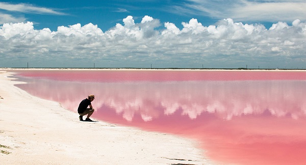 Quand la vie en rose devient une réalité