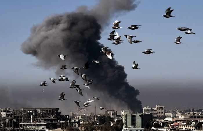 Le tireur d'élite numéro un de Daech abattu à Mossoul