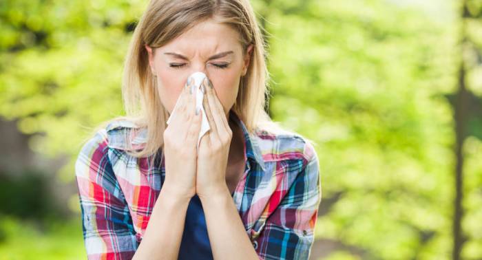 Des chercheurs expliquent comment se débarrasser des allergies