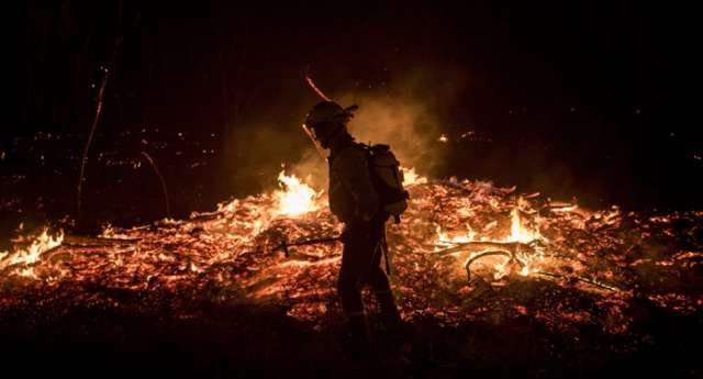 Wildfire death toll in Italy rises to five – fire service