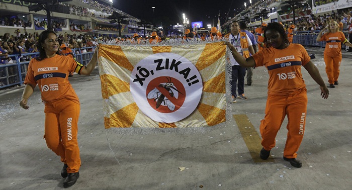 Zika Virus unlikely to affect 2016 Summer Olympics in Brazil 