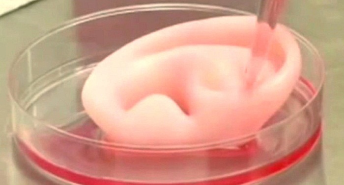 3D bioprinting system to 