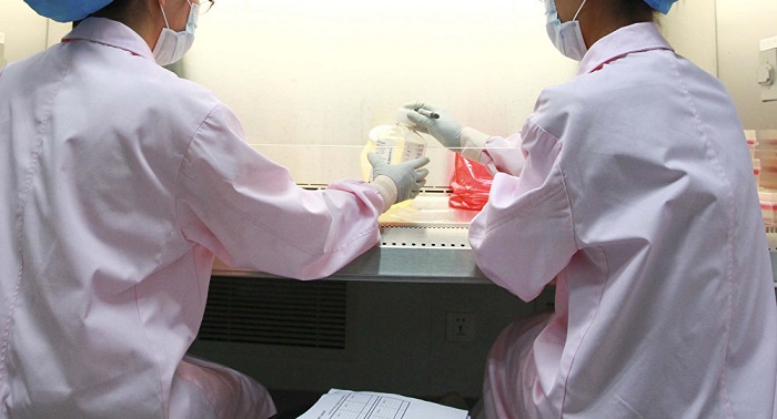 Mini-Version of Human Body Part Created in Japan 