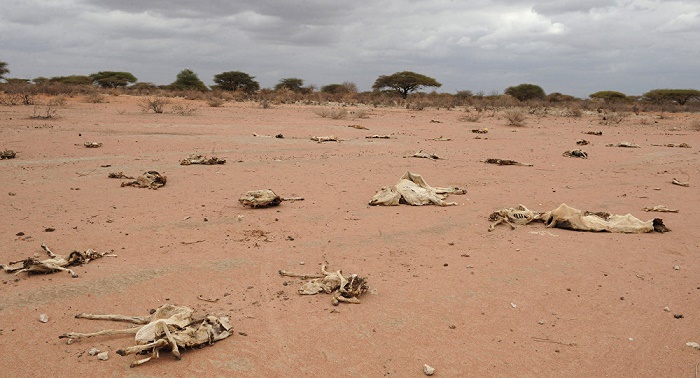 Life threatening heatwaves ready to pounce on Middle East and North Africa