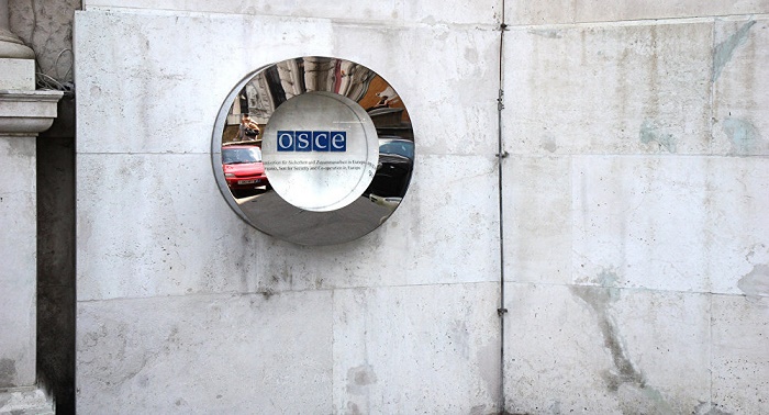 Over 300 OSCE monitors observing Presidential Election in 34 US States