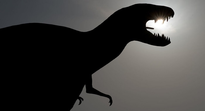 Giant Dino footprint found in Bolivia