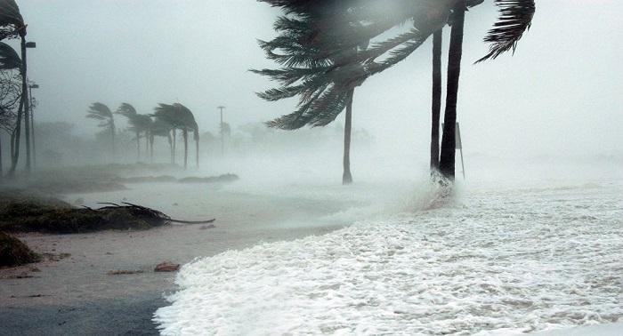 Death toll from mexican storm reaches 40 people