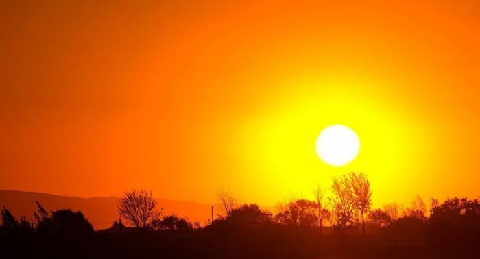 Seis muertos por el calor en Japón en una semana