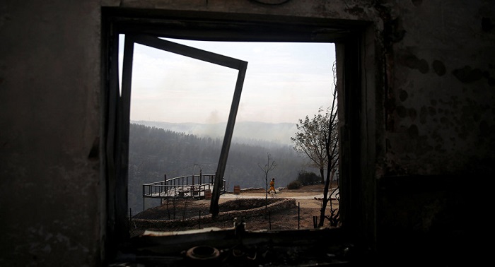 Putin promete ayuda en la lucha contra incendios forestales en Israel 