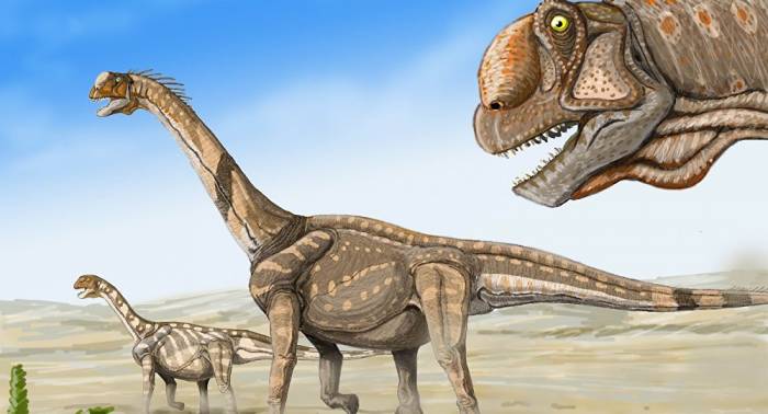 Hallan en Argentina los restos de un dinosaurio del tamaño de un avión intercontinental