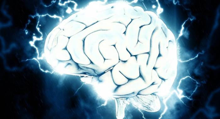 ¡Epidemia! Un gusano que provoca infección cerebral se disemina en EEUU