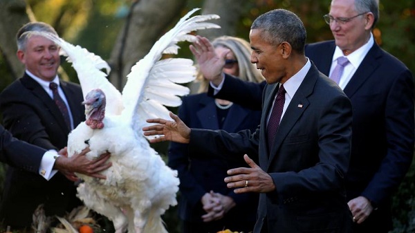 A l`occasion de Thanksgiving, Obama gracie sa dernière dinde - VIDEO