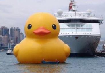 Baku weather hinders Rubber Duck presentation