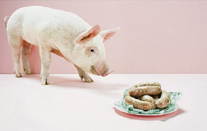 In dieser deutschen Stadt gilt jetzt “Schweinefleischverbot“ in Kitas