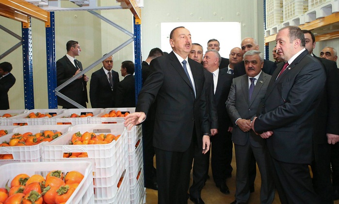 Azerbaijani, Georgian presidents review cold storage complex in Marneuli
