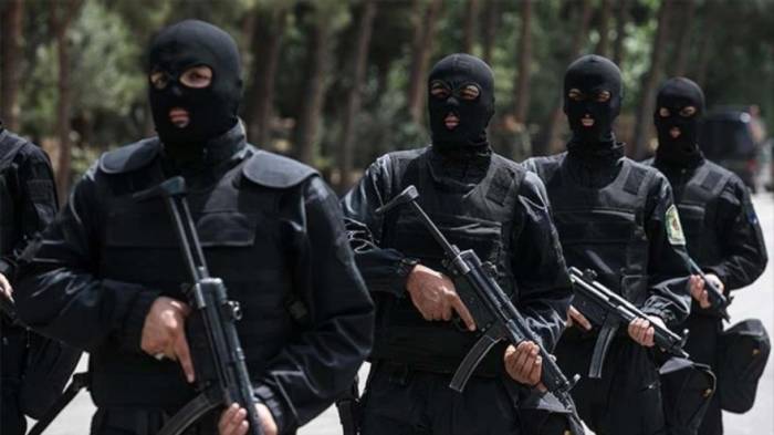 Irán detiene a 41 miembros del grupo terrorista Daesh