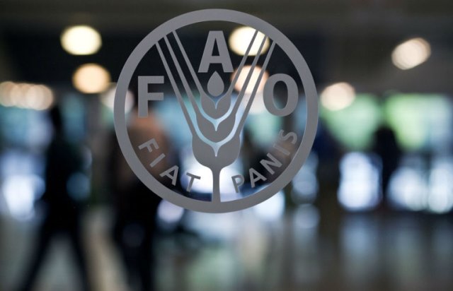        FAO:    “Ərzaq məhsulları 6 aydır ki, ucuzlaşır”   