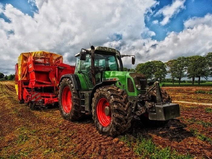 Krise in der Landwirtschaft: Bis zu 14.000 Bauern geben auf