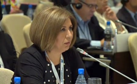 “Lunaçekin ermənilərlə bağlılığı sirr deyil” - Bahar Muradova
