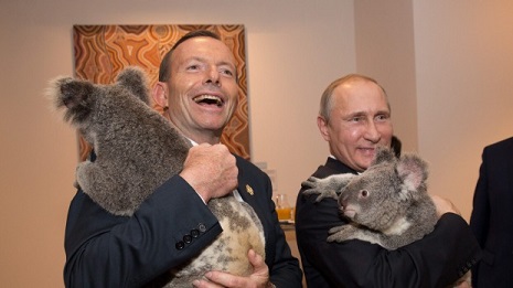 This koala hugged Vladimir Putin. Now Russia wonders whether Australia killed it