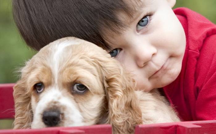Les chiens protègent-ils contre l'asthme et l'eczéma?
