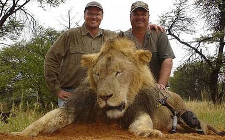 American dentist killed Zimbabwe`s beloved lion Cecil