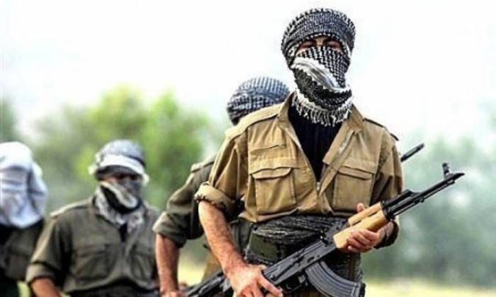 PKK-ya qarşı əməliyyat - 22 nəfər tutulub