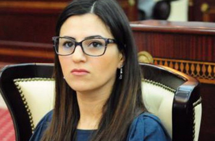 Azerbaijani MP to attend PACE meeting in Paris