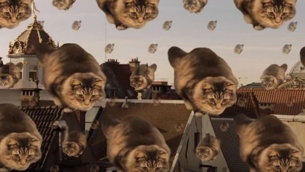 Silver Lining: Surreal Cat Tourism Ad Emerges from Brussels Lockdown - VIDEO
