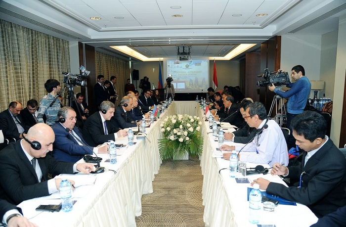 Aserbaidschanisch-indonesisches Energieforum in Baku