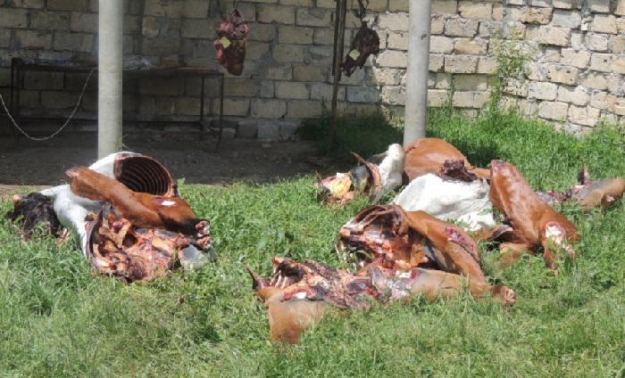 İsmayıllıda at əti satanlar tutulub