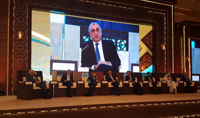 Azerbaijani FM addresses plenary session of Doha Global Forum