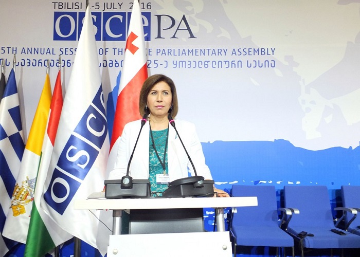 Bahar Muradova: Wir sind um ein tolerantes Verhalten zur Verletzung von Prinzipien der Schlussakte von Helsinki besorgt