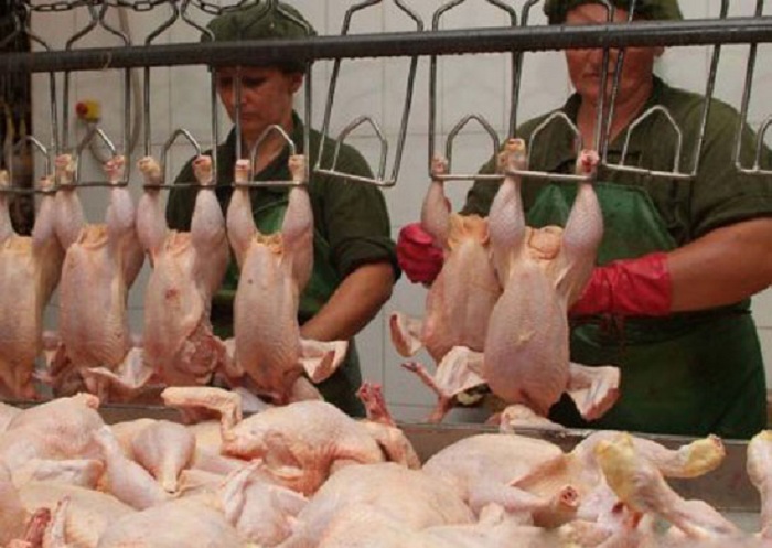 Azerbaijan bans import of poultry products from Iran 