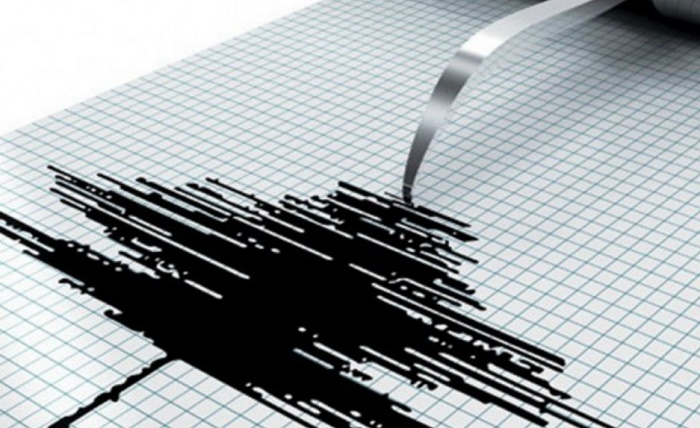 Magnitude 4.5 quake hits Imishli district