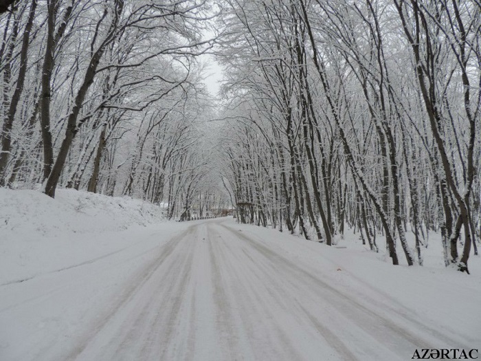 Winterkleid von Guba