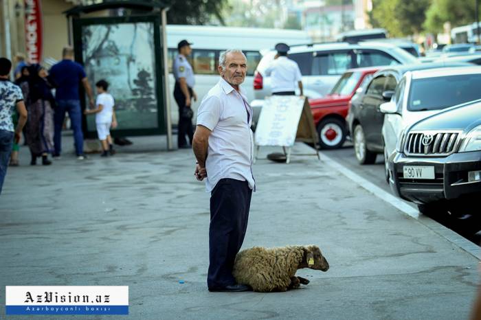 Bu günün qurbanları... - FOTOLAR