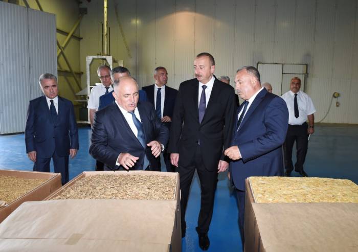 Le président Ilham Aliyev visite une usine de traitement du tabac à Zagatala
