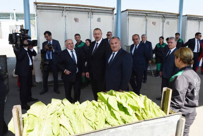 Staatspräsident Ilham Aliyev besucht Tabaktrockenanlage in Gakh