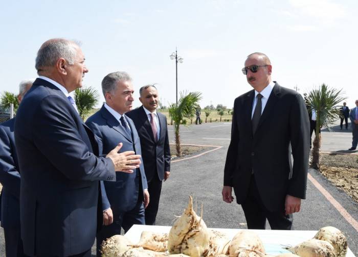 Jalilabad: Staatspräsident Ilham Aliyev inspiziert im Agropark "Günaschli-Agro" geschaffene Bedingungen