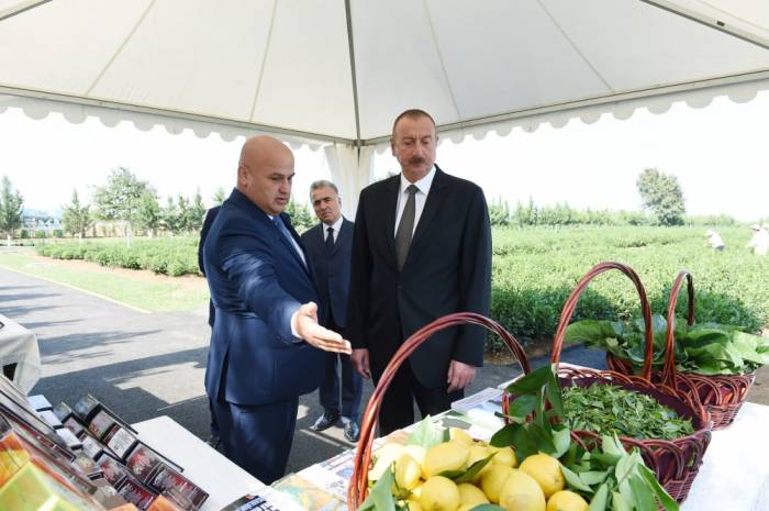 Staatspräsident Ilham Aliyev besucht Teeplantage "Jaschil Tschay" in Lenkoran